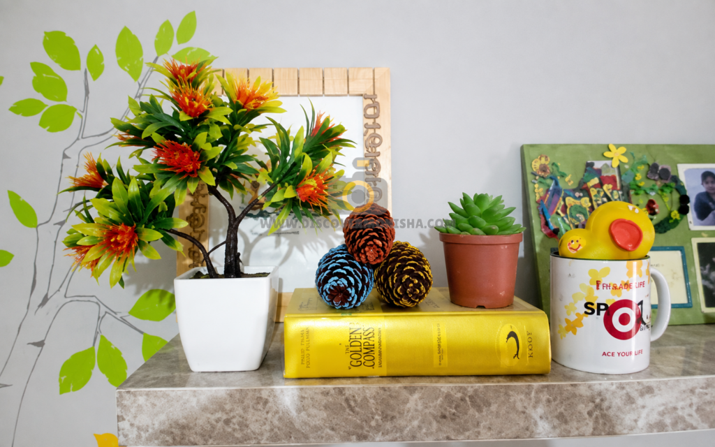 indoor plants decor