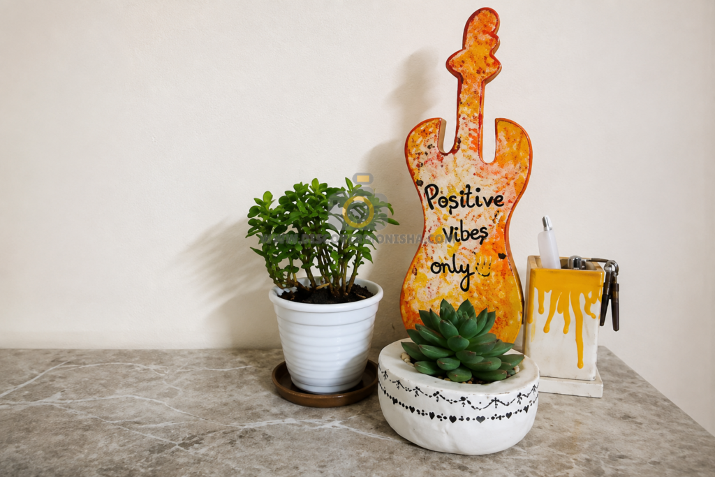 indoor plants decor photography 