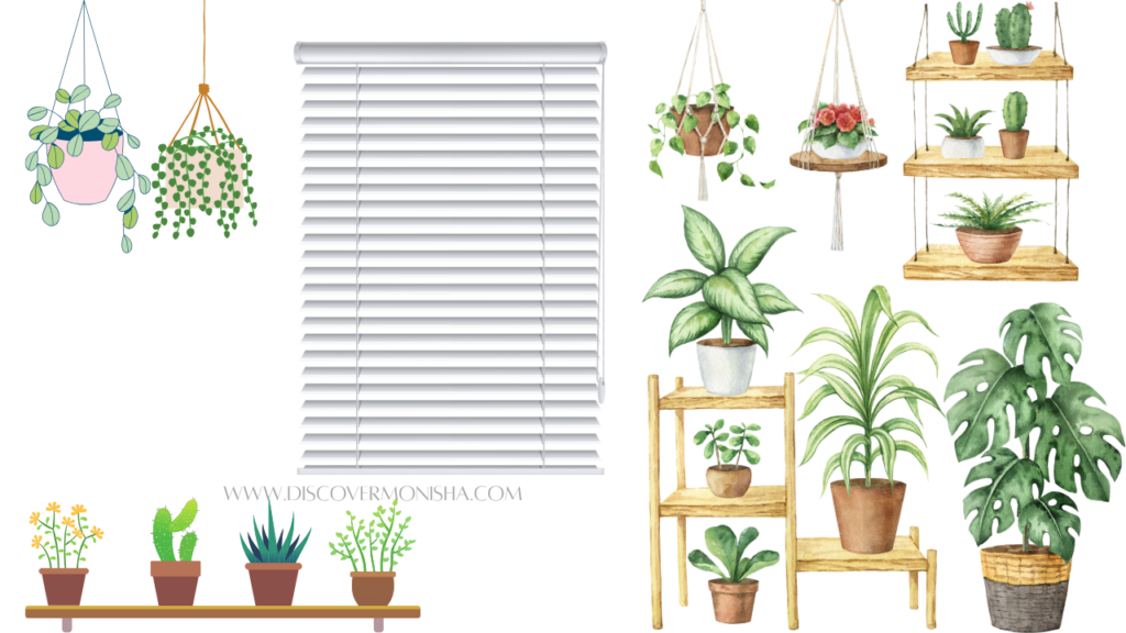 INDOOR PLANTS