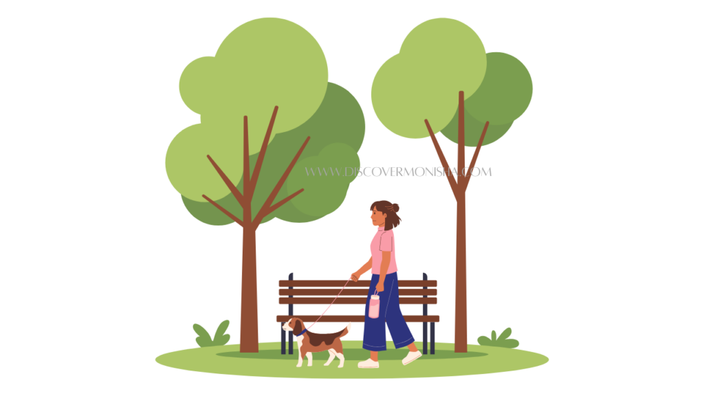 morning nature walk