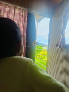 pawna lake resort