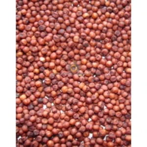 Ragi millet