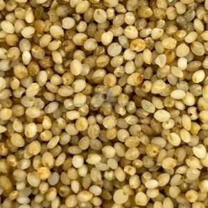 little millet